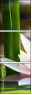 34213537