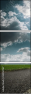34550767