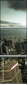 34615215