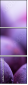 35113931