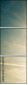 35316954
