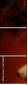 35756835