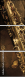 36435331