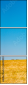 366904333