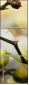 37764632
