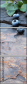 38310758