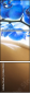 38624938