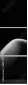 38857159