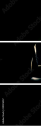 39076557