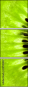 39788047