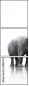 39813714