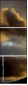 39988282