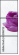 42146732