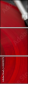 43319275