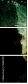 43487470