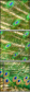 43782837