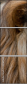 44169584