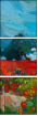 44331491