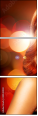44542040