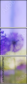 44687067