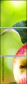 44945564