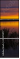 45070477