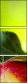 45125222