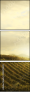 45470449