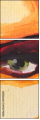 45492260