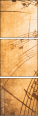 45515921