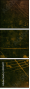 45516171