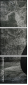 45686812