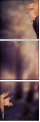45950456