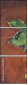 46381145