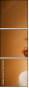 46768252