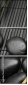 46925109
