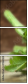 47068124