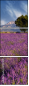 4707314