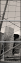 474975916