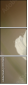 47729615