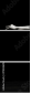 47804605