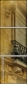 47848489