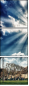 47963696