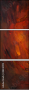 48240199