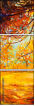 48240215