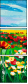 48240226