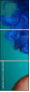 48435608