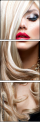 48880493