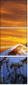 48905885