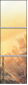 48985440